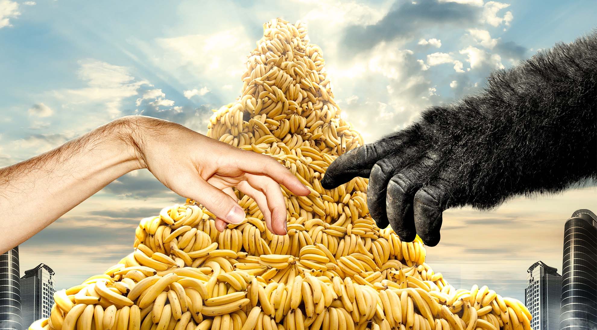 Shine Internal External Creative 008 .jpg