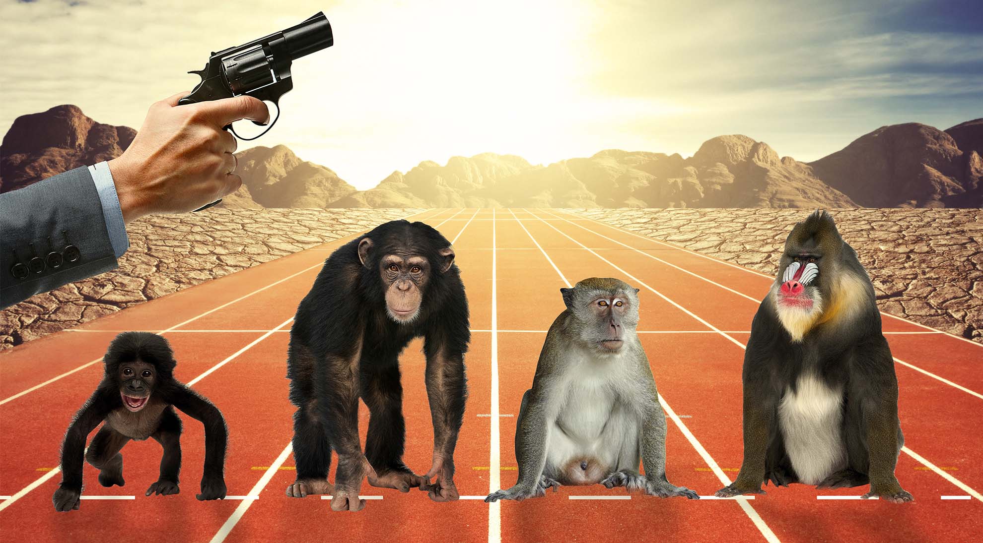 Shine Internal External Creative 009 .jpg