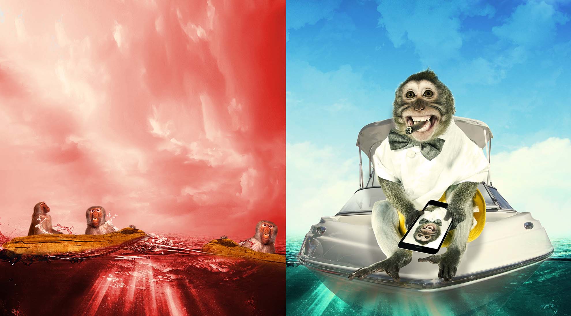 Shine Internal External Creative 10 .jpg