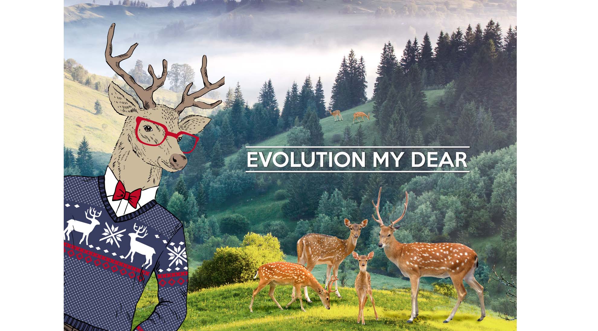 Shine Internal External Creative 11 .jpg