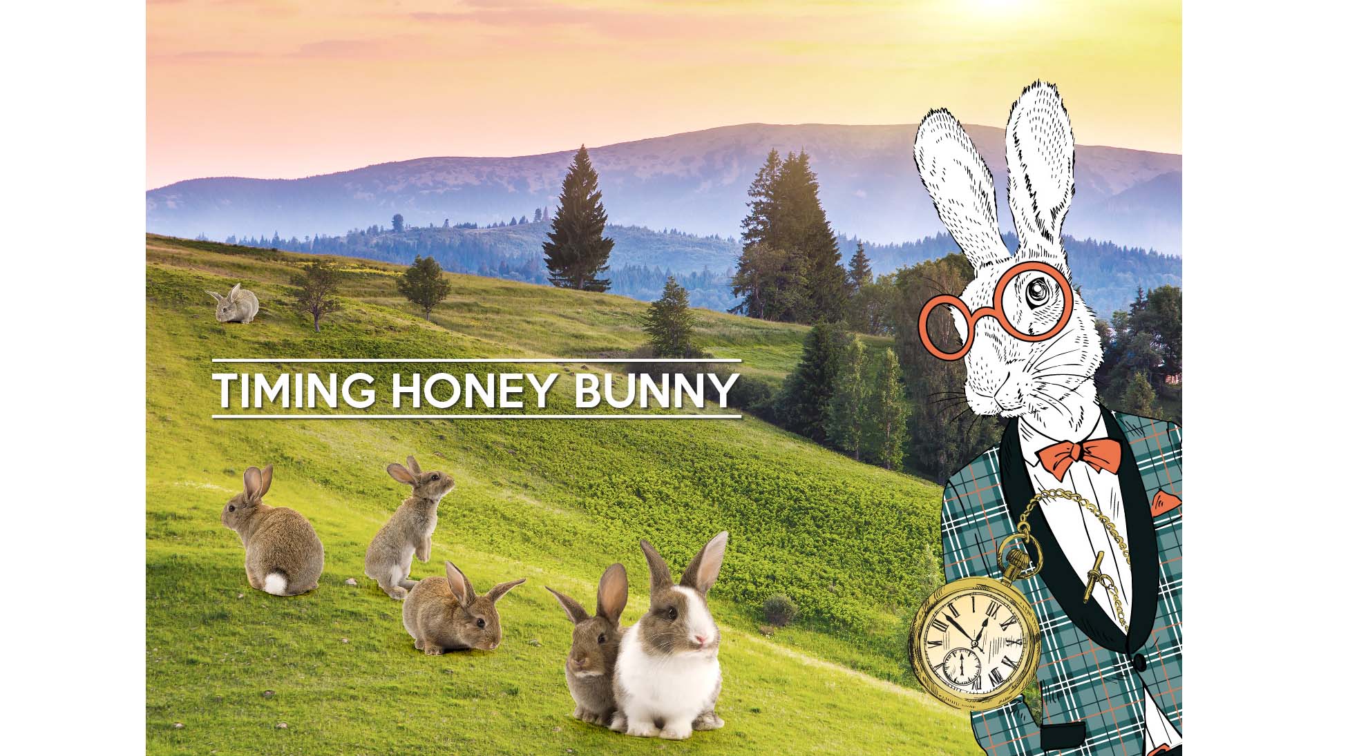 Shine Internal External Creative 12 .jpg