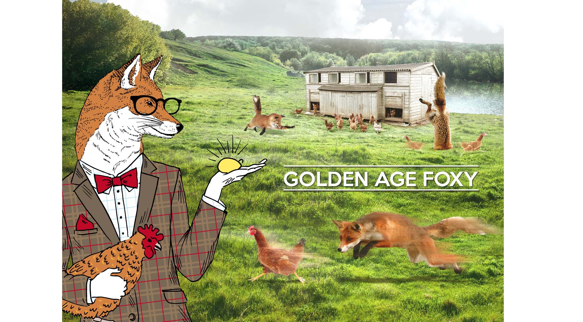 Shine Internal External Creative 13 .jpg