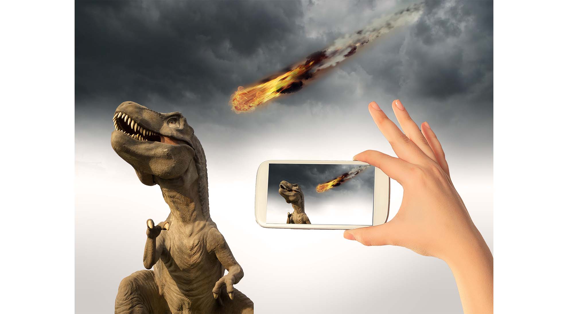 Shine Internal External Creative 15 .jpg