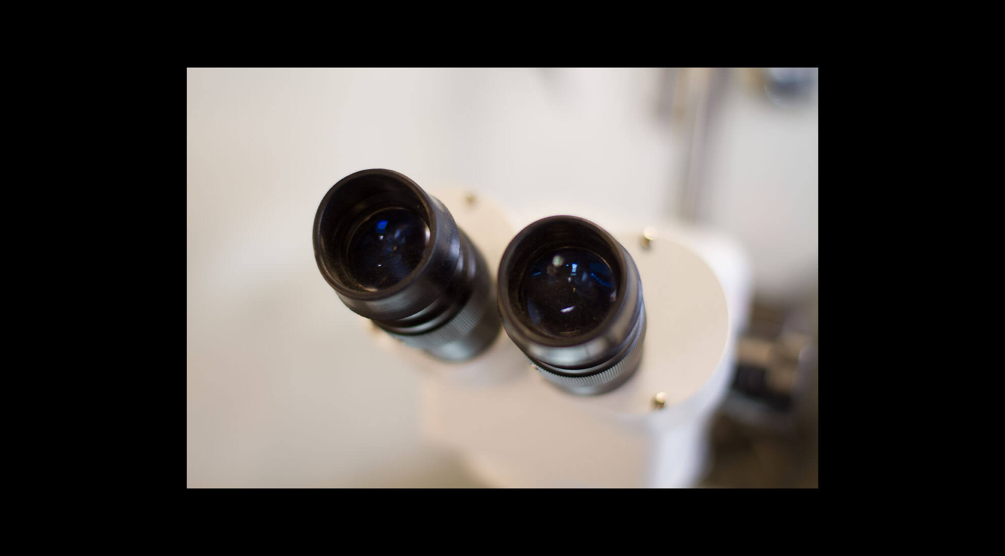 Dostix_0011_Background copy 3.jpg