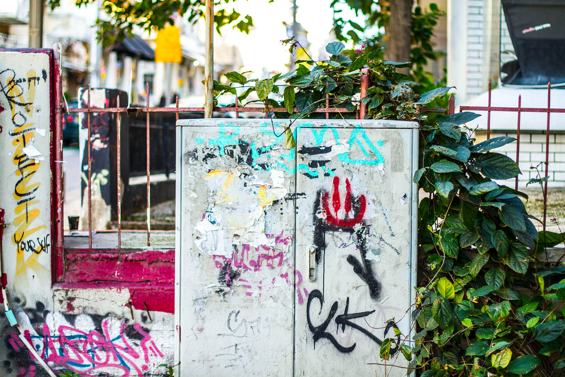 GRAFFITI TLV_0044__MG_2881.jpg