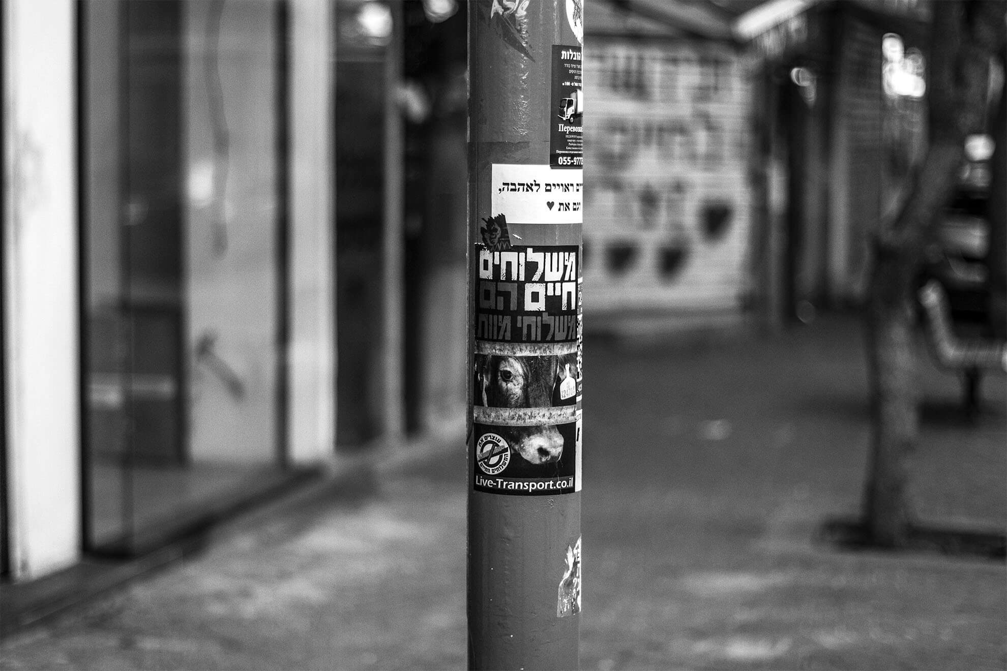 GRAFFITI TLV_0054__MG_2834.jpg