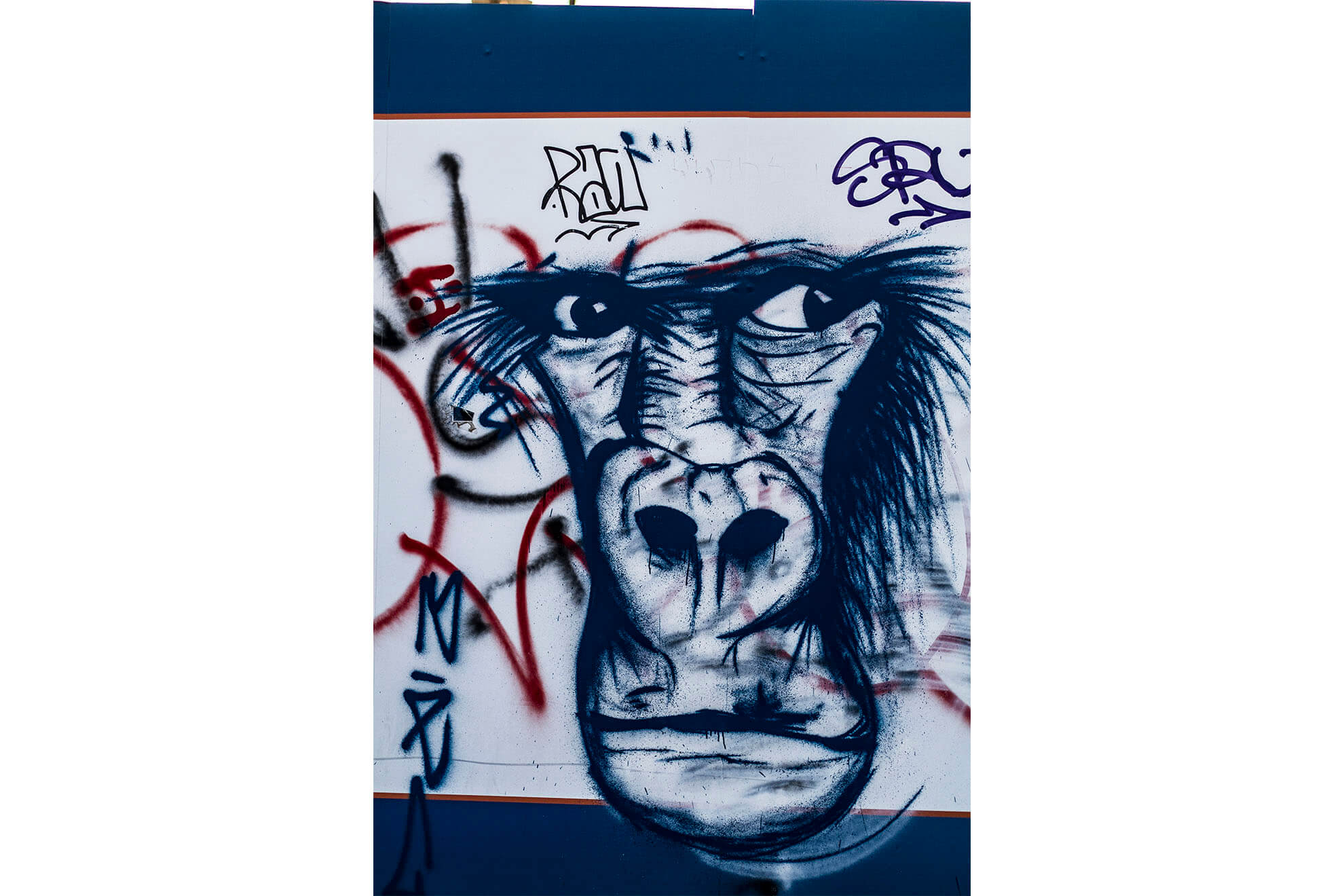 GRAFFITI TLV_0012__MG_2931.jpg