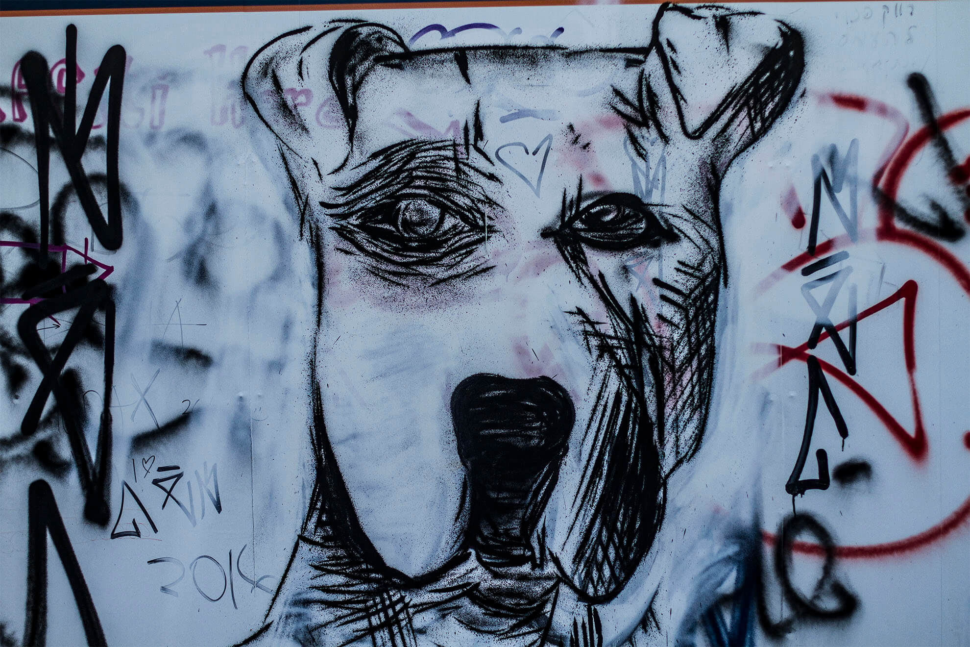 GRAFFITI TLV_0013__MG_2930.jpg