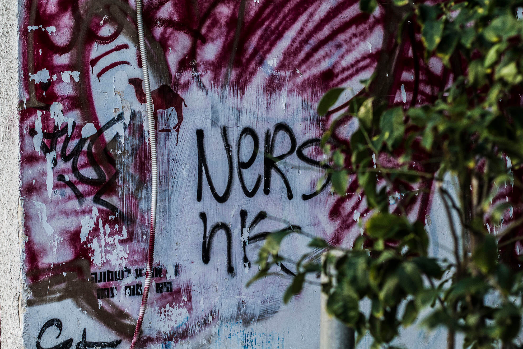 GRAFFITI TLV_0022__MG_2912.jpg