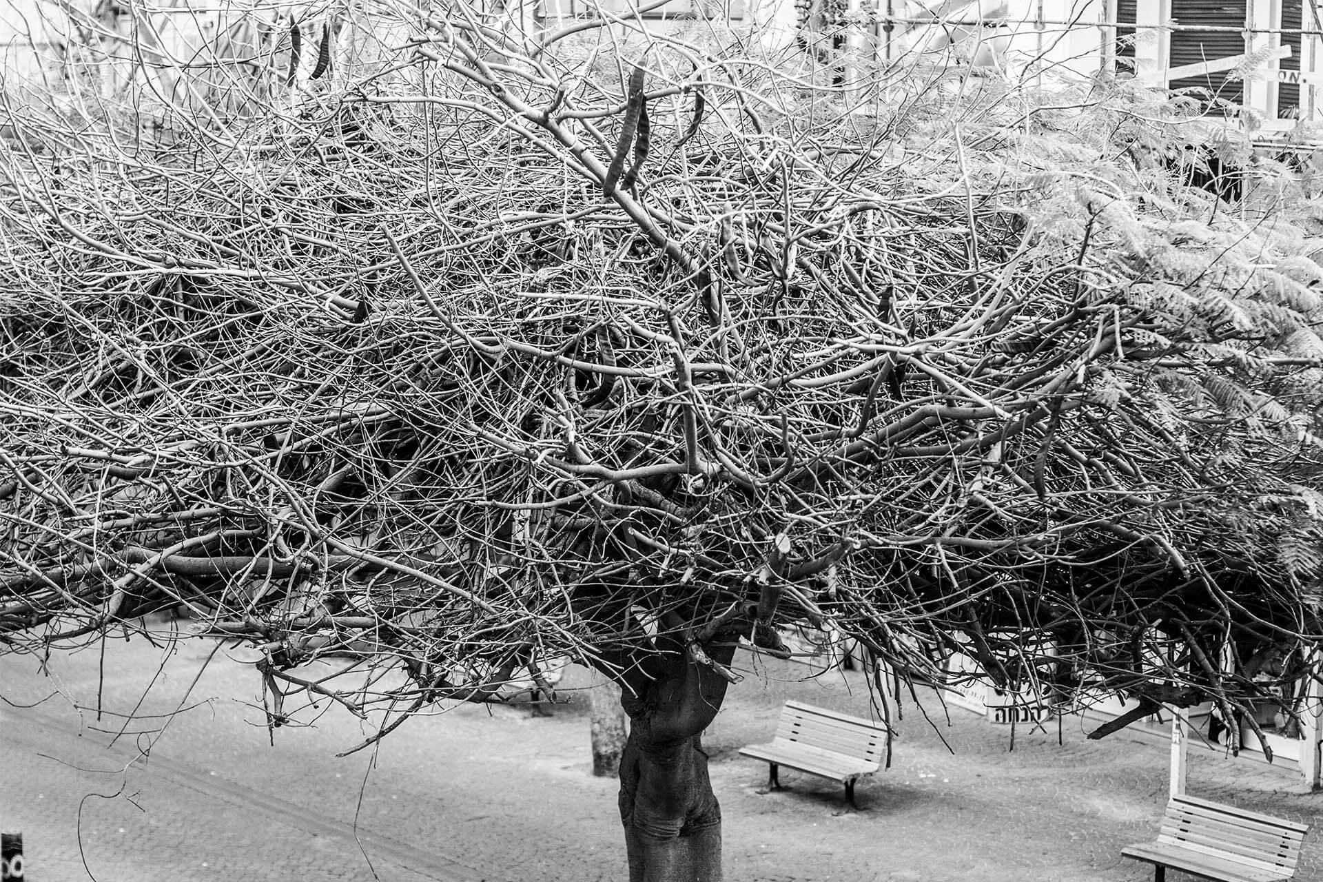 TEL AVIV_0087__MG_3642.jpg