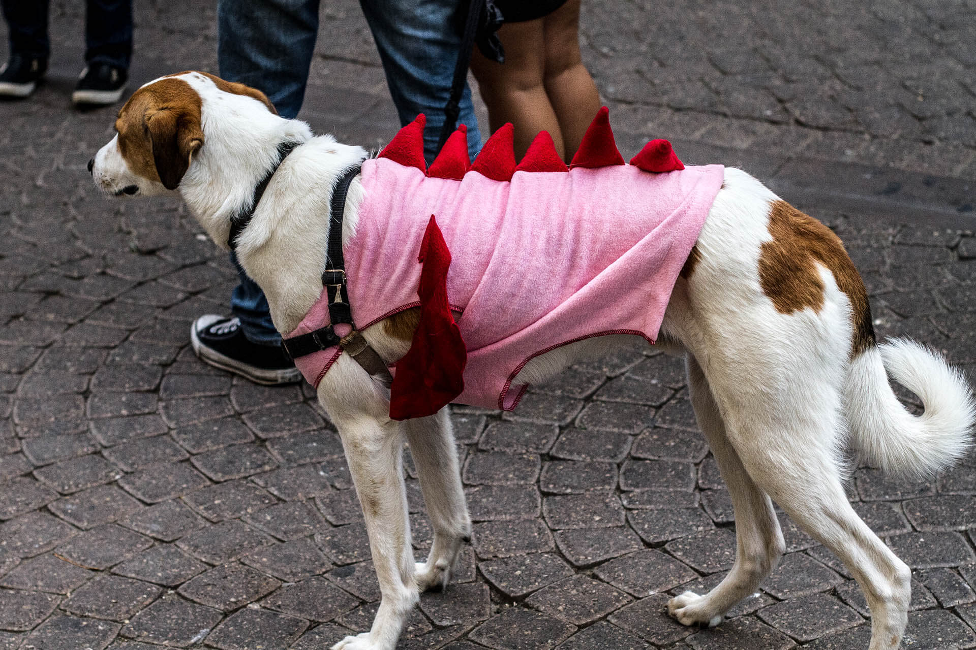 TEL AVIV_0093_Layer 1.jpg