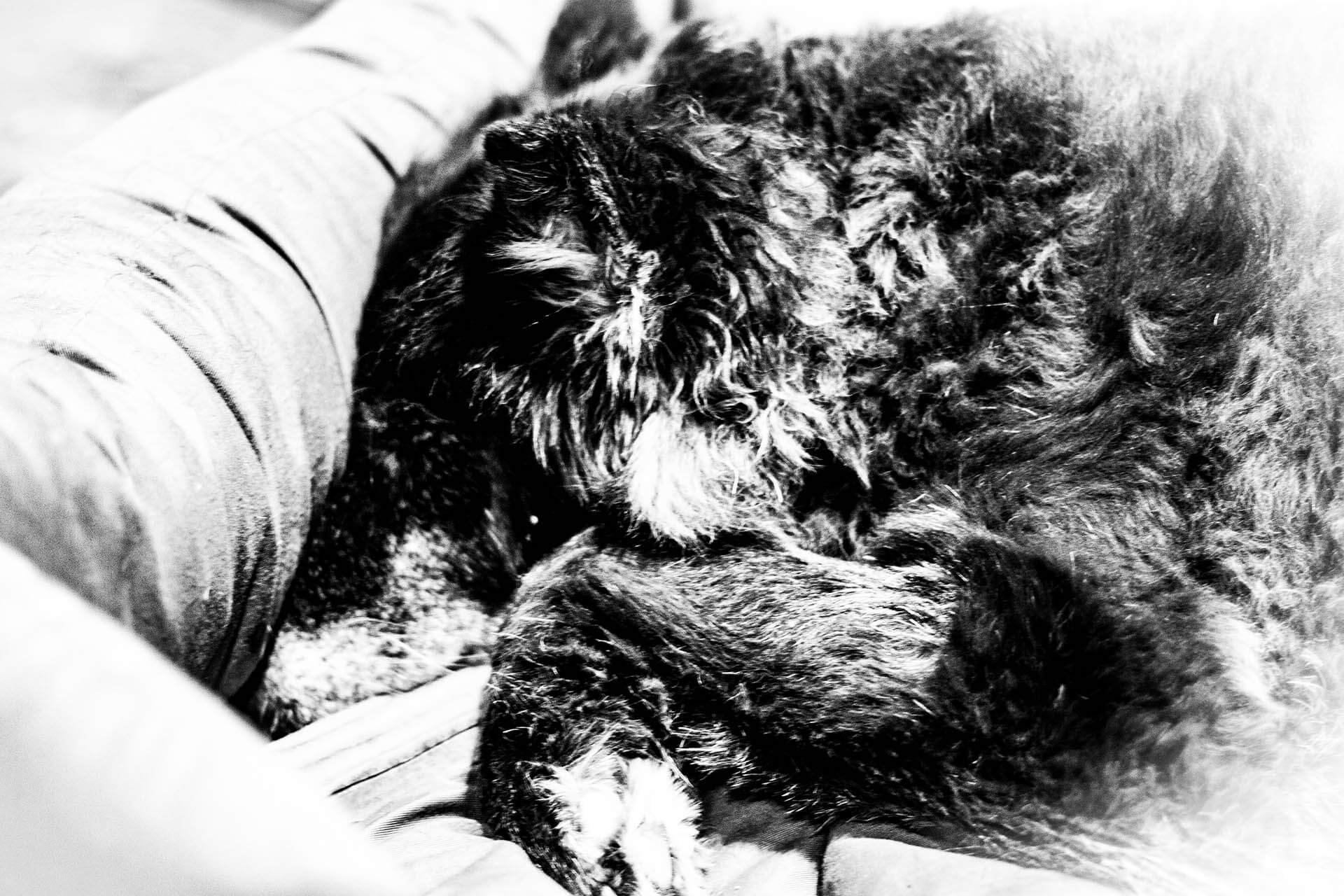 TEL AVIV_0099__MG_2473.jpg