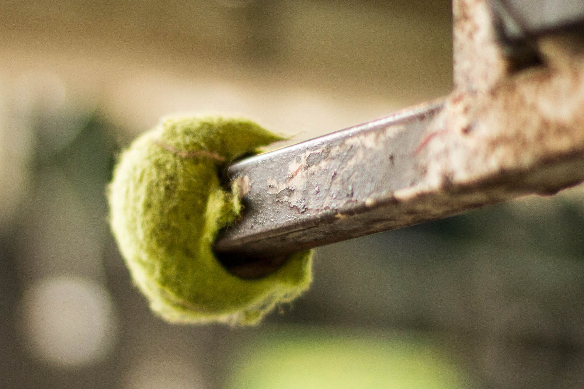 TEL AVIV_0012_Layer 7.jpg