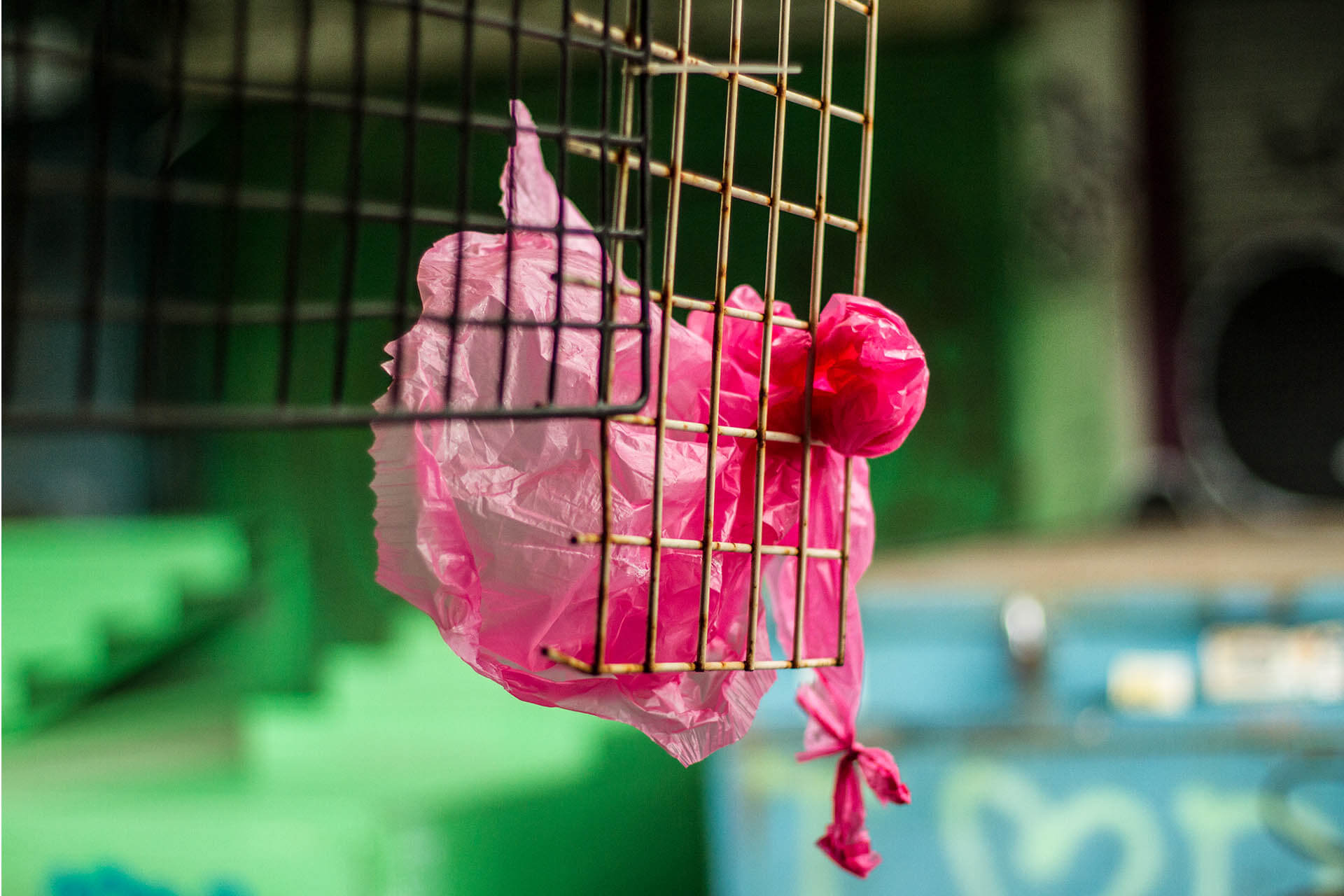 TEL AVIV_0022__MG_2400.jpg