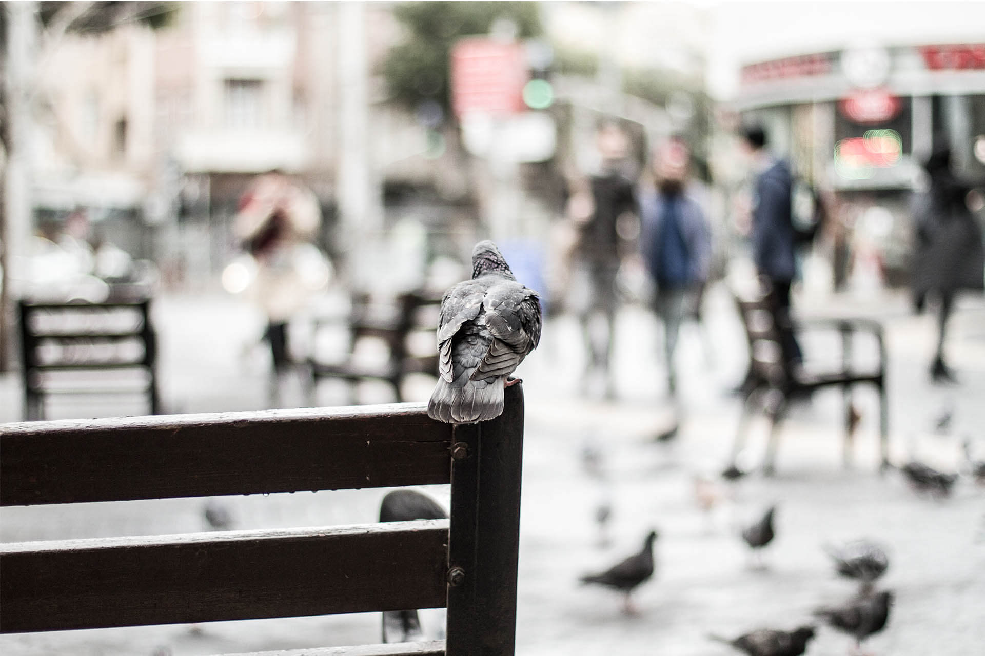 TEL AVIV_0024__MG_2378.jpg