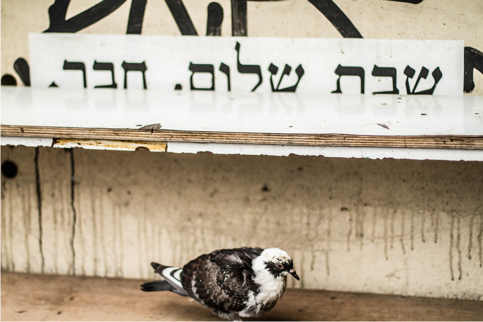 TEL AVIV_0025__MG_2379.jpg