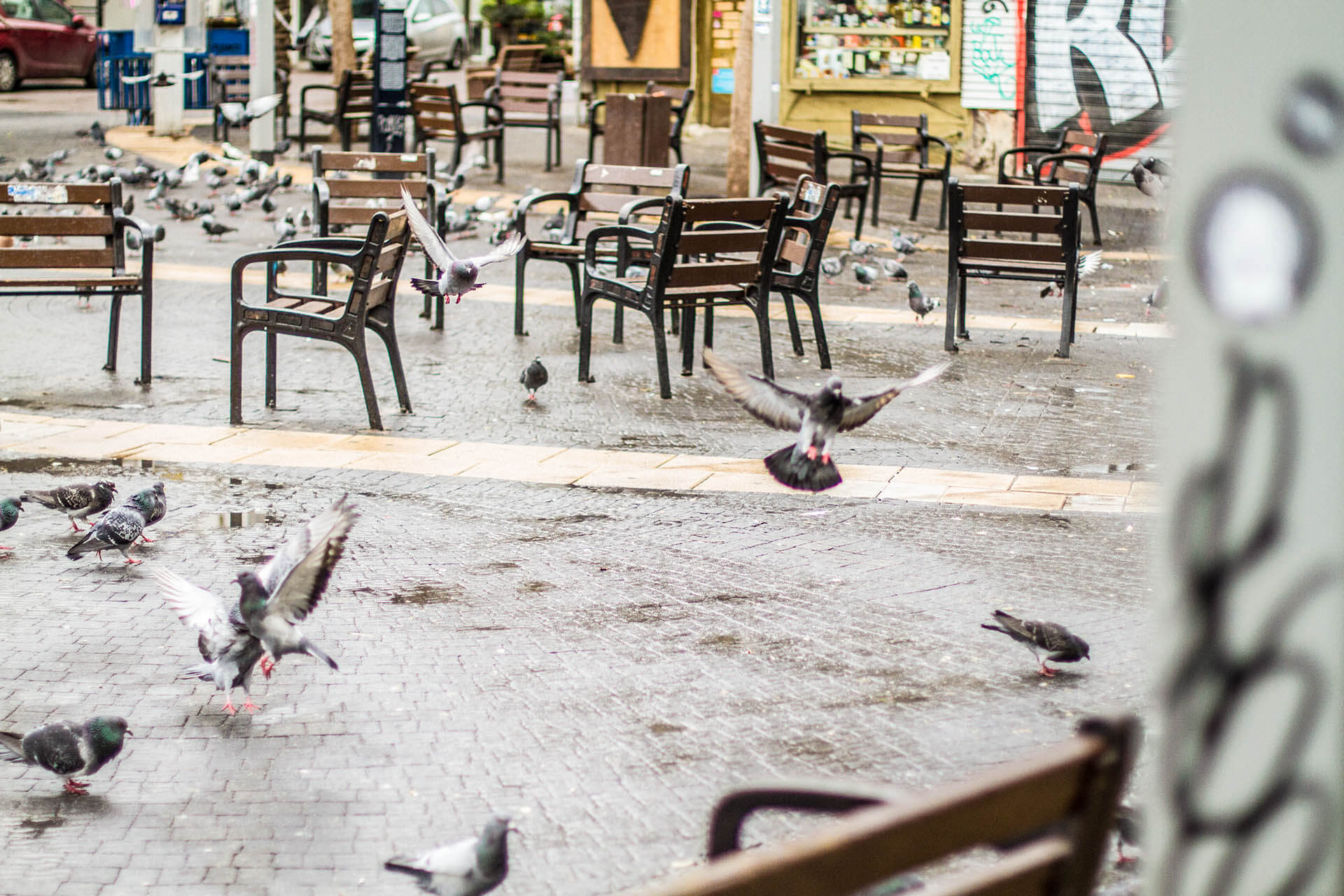 TEL AVIV_0027__MG_2374.jpg