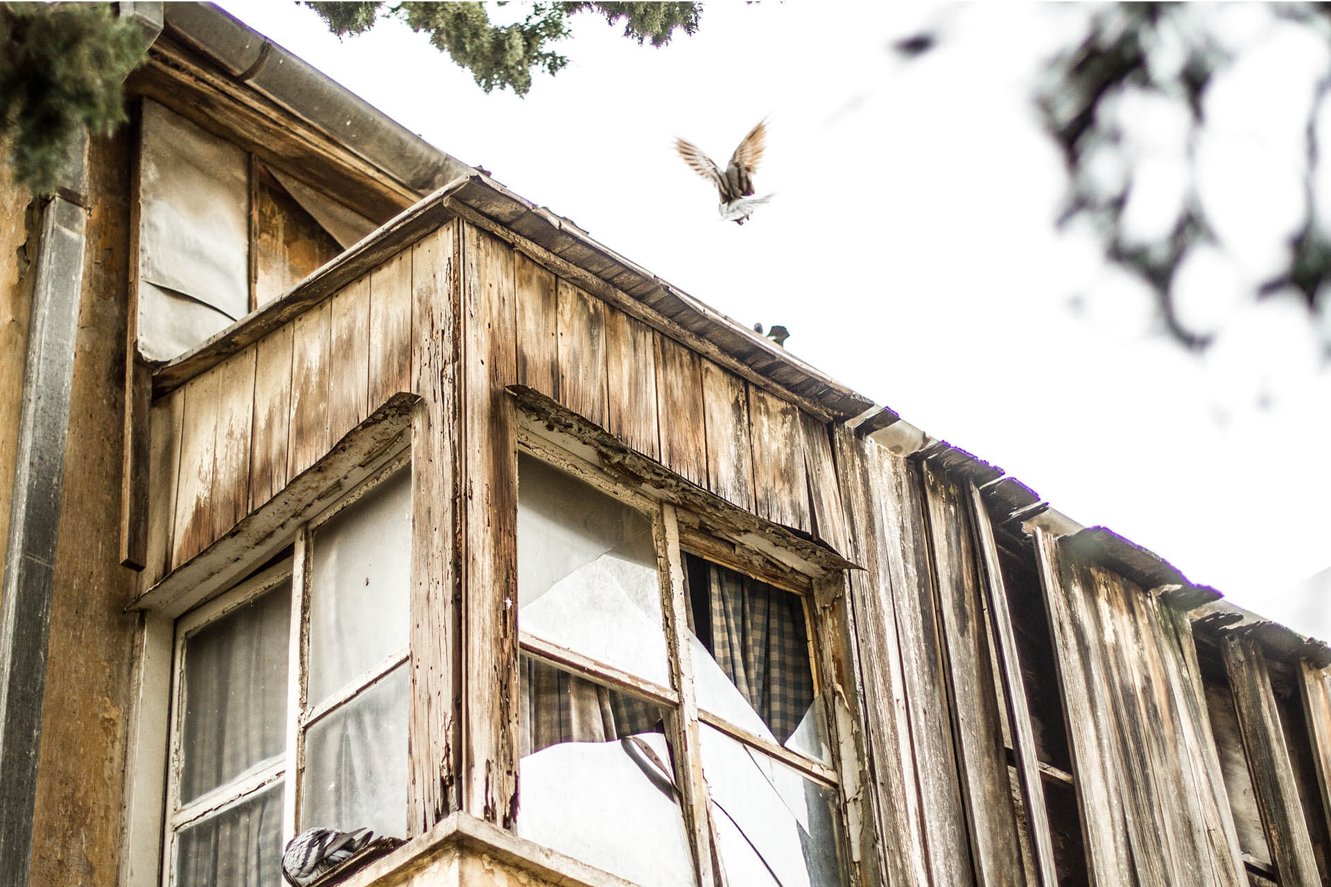 TEL AVIV_0028__MG_2370.jpg