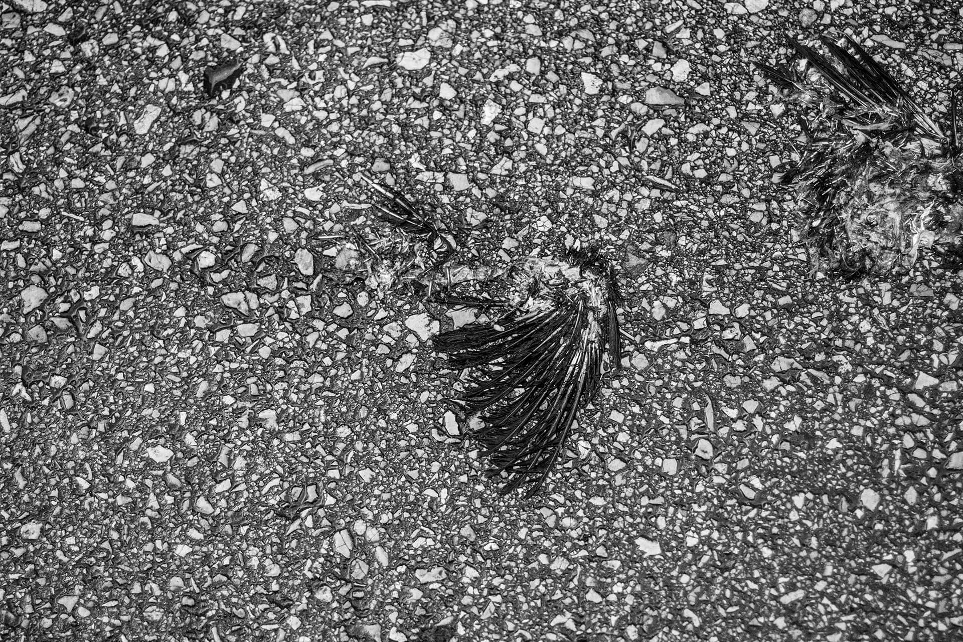 TEL AVIV_0032__MG_2365.jpg