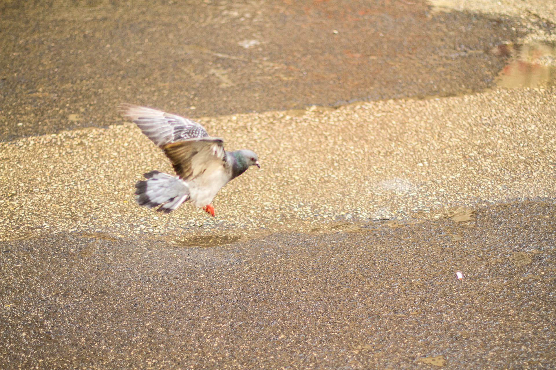 TEL AVIV_0040__MG_2348.jpg
