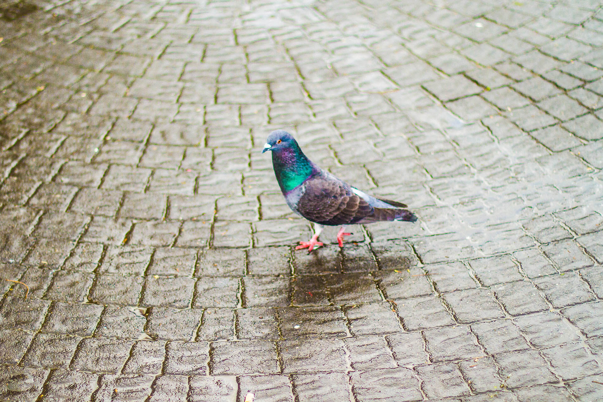 TEL AVIV_0044_Layer 6.jpg