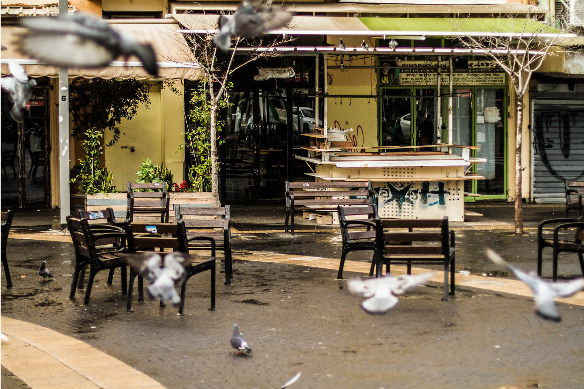 TEL AVIV_0046__MG_2323.jpg