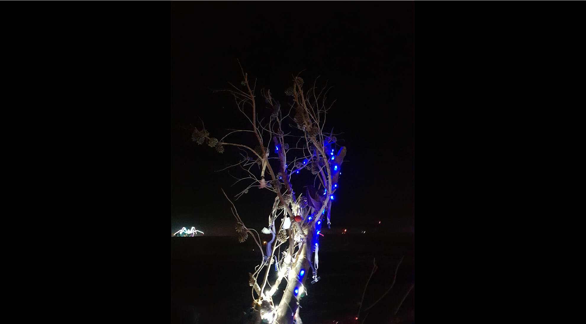 MIDBURN 2018_0009_20180518_041514.jpg