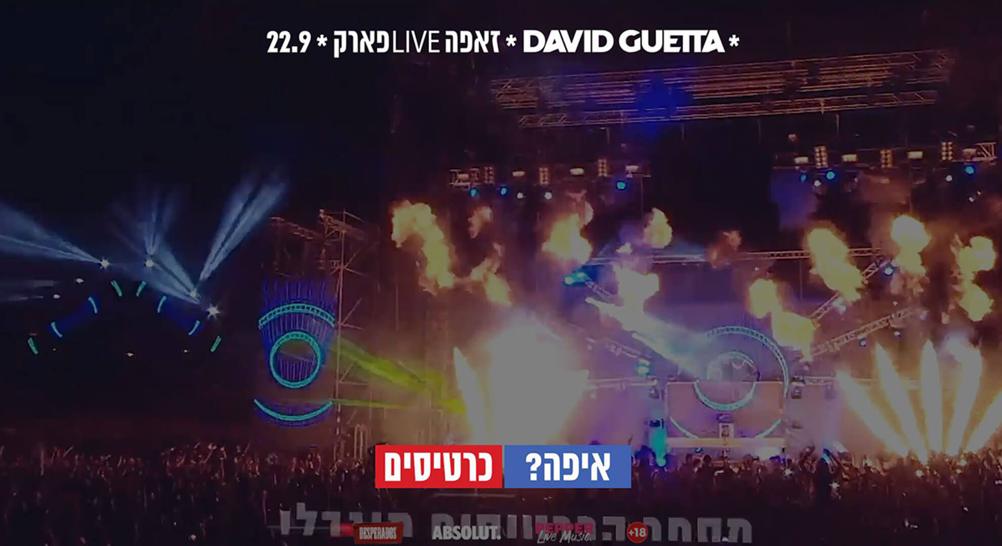 David Guetta_0010_David Guetta 1.jpg