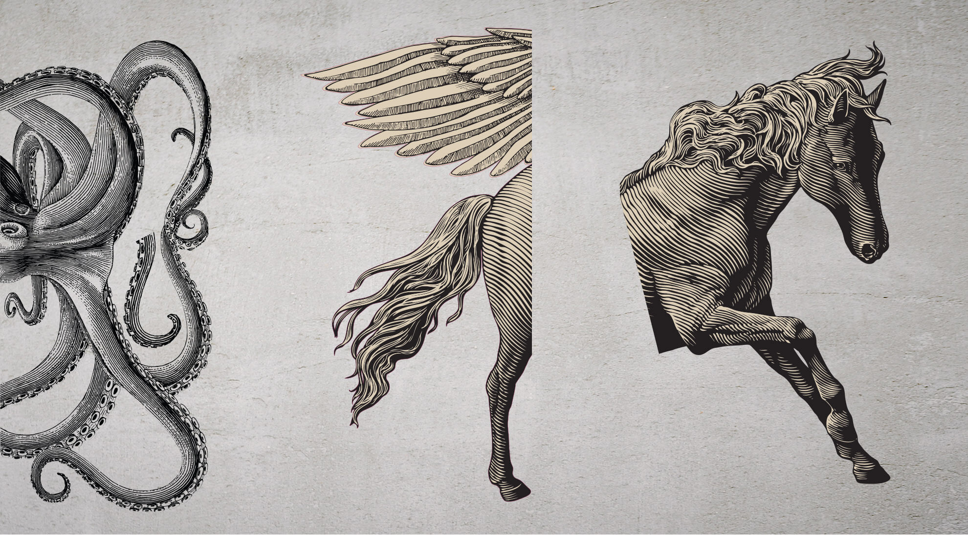 Albi_Design_0009_octopus 120X270cm.jpg