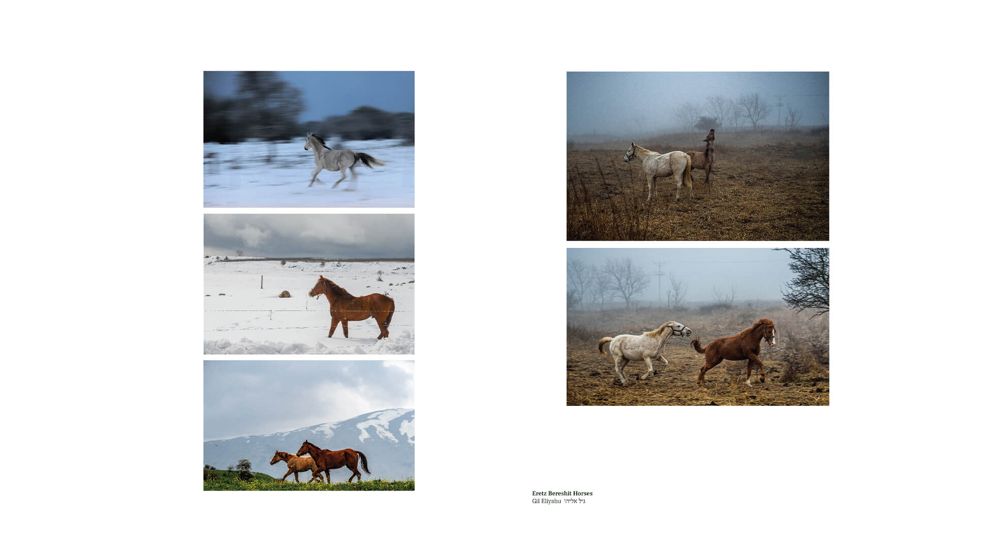 Simply Live Your Life magazine Merck_0003_Digiatl_Simply_Magazine_45X30cm_Gil Eliyahu-57.jpg