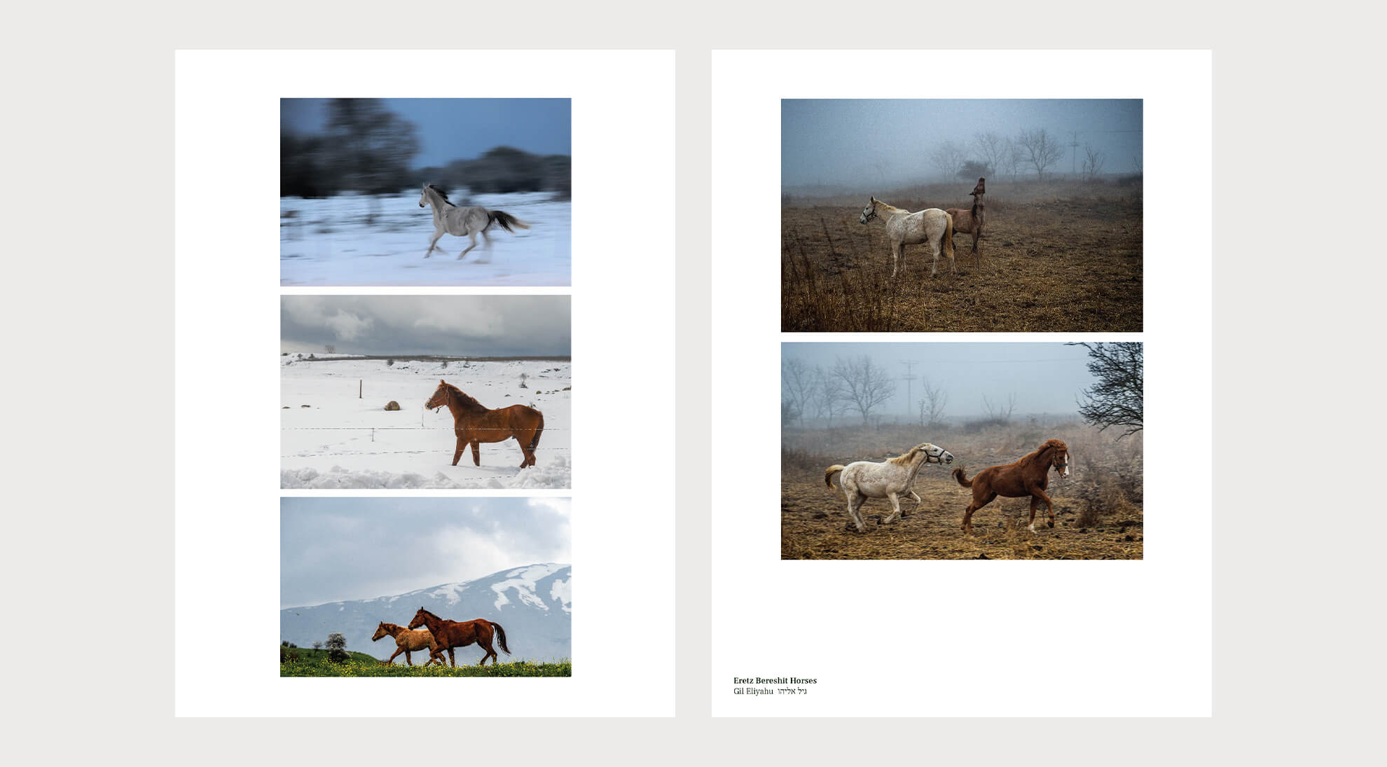 Simply Live Your Life magazine Merck_0008_Digiatl_Simply_Magazine_45X30cm_Gil Eliyahu-56.jpg