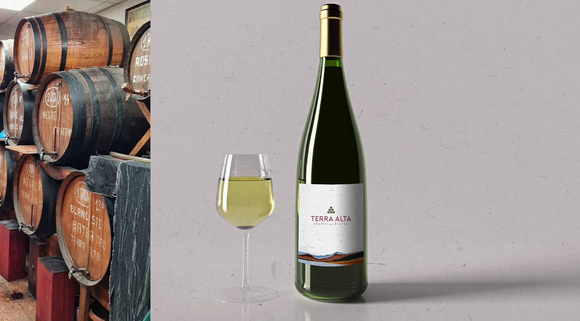 Terra Alta brand identity_0011_Terra Alta brand identity_001 mockups.jpg
