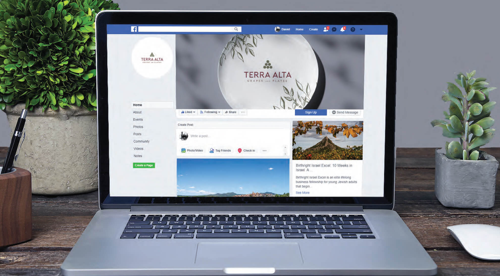 Terra Alta brand identity_0016_Terra Alta brand identity.jpg